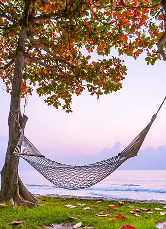 Hammock swing at Riveria by V Stays for relaxing outdoor moments